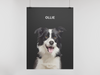 One Pet Portrait Digital Print