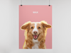 One Pet Portrait Digital Print