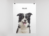 One Pet Portrait Digital Print