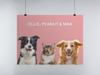 Three Pet Portrait Digital Print