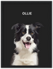 Wood Framed Personalized Pet Portrait