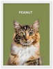 Wood Framed Personalized Pet Portrait