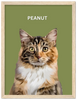 Wood Framed Personalized Pet Portrait