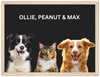 Wood Framed Three Pet Portrait