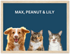 Wood Framed Three Pet Portrait