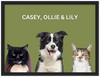 Wood Framed Three Pet Portrait