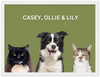 Wood Framed Three Pet Portrait