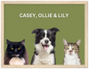 Wood Framed Three Pet Portrait