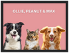 Wood Framed Three Pet Portrait