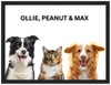 Wood Framed Three Pet Portrait