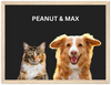 Wood Framed Two Pet Portrait