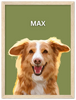 Wood Framed Personalized Pet Portrait