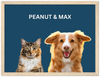 Wood Framed Two Pet Portrait